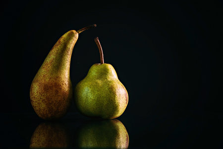 Two pears of different varieties on a black background. The concept of tolerance and body positivity.の写真素材