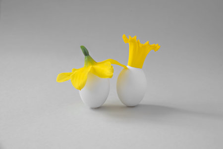 Two eggs with a hat and a crown of a daffodil flower on a gray background. Minimalistic Easter...