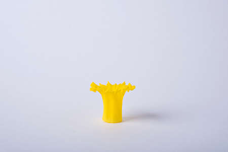 Minimalistic composition. Crown from the core of a daffodil flower.の写真素材