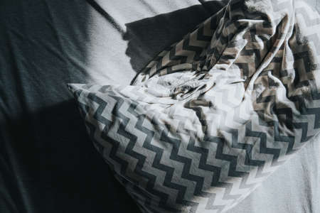 Crumpled linen pillow in the morning sun.の写真素材