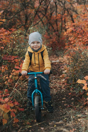 Boy on a balance bike ride in the autumn forestの写真素材