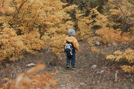 The boy walks through the autumn forest.の写真素材