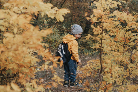 The boy walks through the autumn forest.