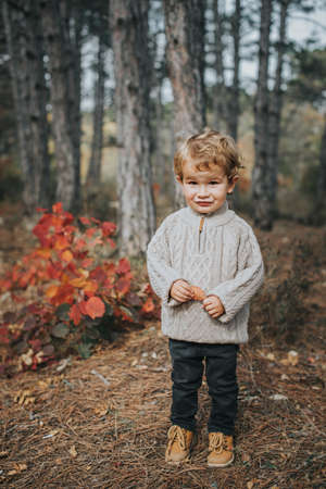 Little boy in the autumn forest. Outdoor activitiesの写真素材