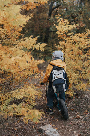 Little boy on a balance bike ride in the autumn forestの写真素材