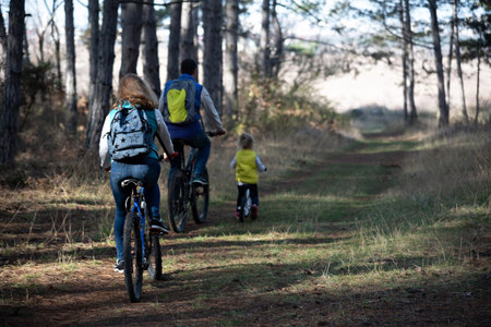 A little girl with her parents ride their bicycles through the pine forest.の写真素材