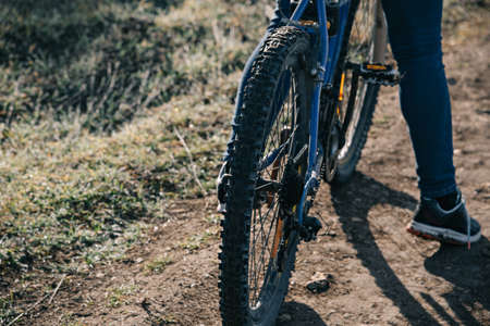 A young woman is riding a mountain bike in a pine forest.の写真素材