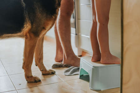 Bare feet of son, dad and dog stand in the kitchenの写真素材