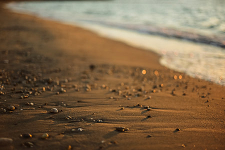 Sandy seashore in the sunset blurred background.の写真素材