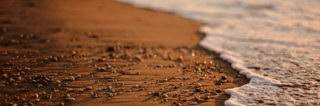 Sandy seashore in the sunset blurred background.の写真素材