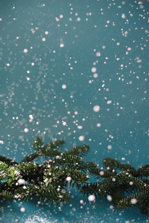Fir branches on a blue background under falling snow.の写真素材