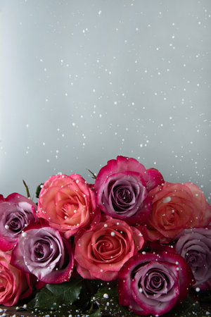 A bunch of pink roses under the falling snow on a white background. copyspace. Place for text.の写真素材