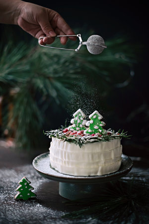 Winter cake with spruce-shaped gingerbread sprinkled with powdered sugar. Christmas treat.の写真素材