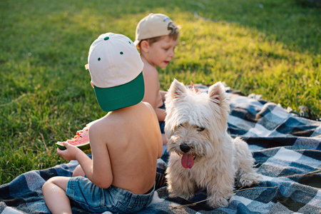 Boys with a dog West Highland White Terrier eating watermelon on the backyard lawn.の写真素材