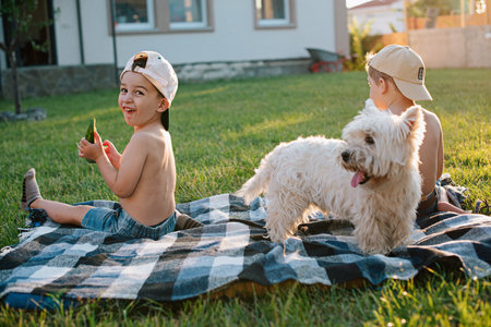 Boys with a dog West Highland White Terrier eating watermelon on the backyard lawn.の写真素材