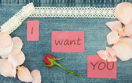 Valentine, greeting card with knitting couple in love, little red rose and soft pink rose petals.の写真素材