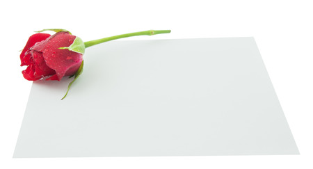 Blank, greeting card, empty white card, valentine. little red rose and pen. Isolated white backgroundの写真素材