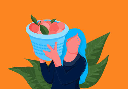 Orange picker. Woman carrying basket full of oranges on her shoulder. Bright illustrationのイラスト素材