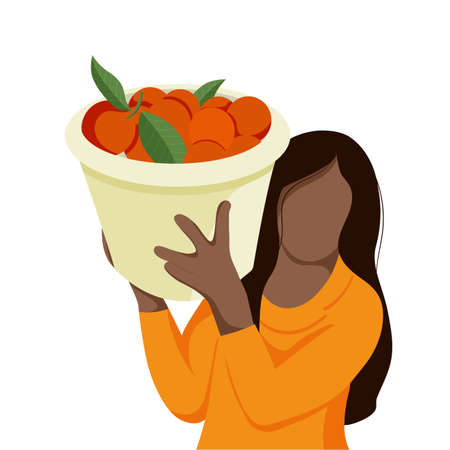 Workers Pick Orange In Plantationのイラスト素材