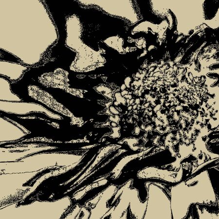 art vintage pattern background の写真素材