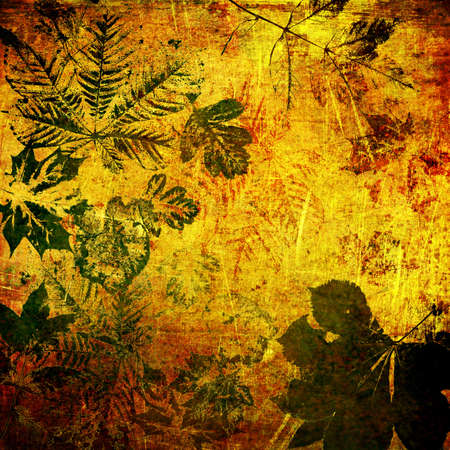 art leaves autumn background cardの写真素材