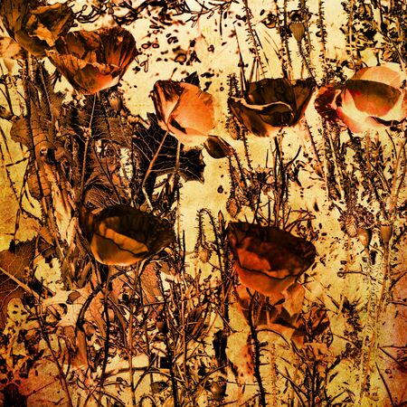 art floral grunge graphic backgroundの写真素材