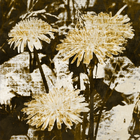 art grunge floral vintage background の写真素材