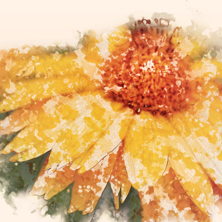 art grunge floral vintage watercolor background with yellow asters toned retro    の写真素材