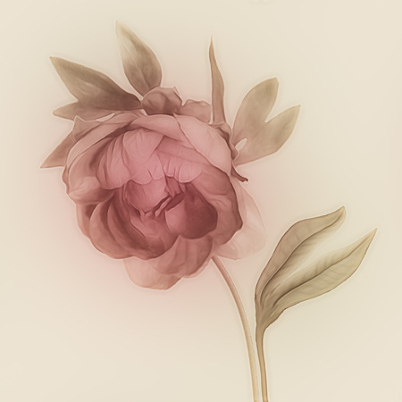 art vintage watercolor blurred floral pattern with pink purple peony isolated on light gold background with space for textの写真素材