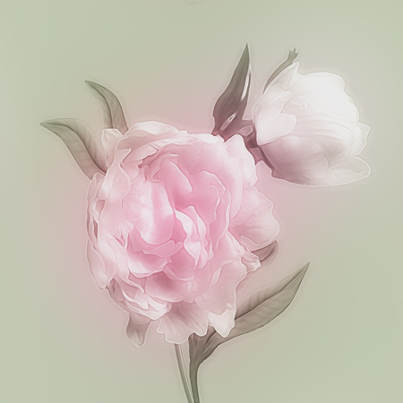 art vintage watercolor blurred floral pattern with pink and white peonies isolated on light green background with space for textの写真素材