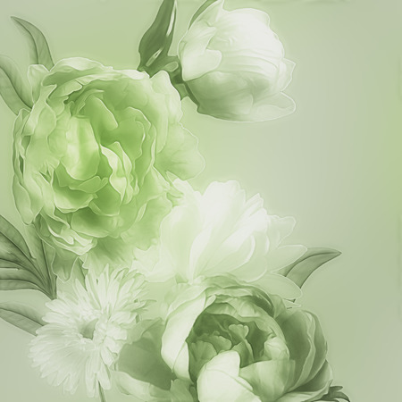 art monochrome vintage watercolor blurred floral pattern with green and white peonies and gerbera isolated on light green background with space for textの写真素材
