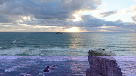 Seascape with seagulls on the cliffs at sunsetの写真素材