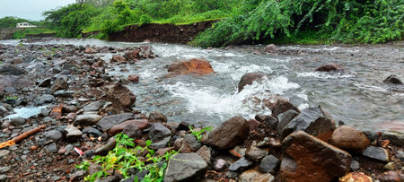 blue water running through the mountains with big stones with green leaves and treesの写真素材
