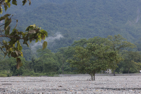 Mountain and tree in the middle of the river. Beautiful landscape.