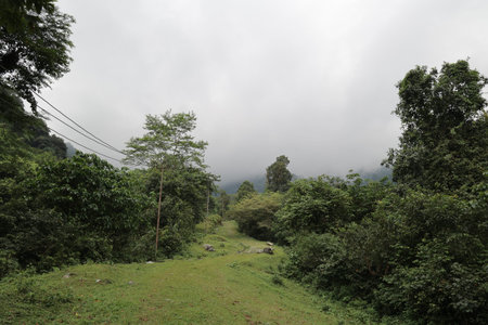 Beautiful landscape view of the jungle and mountains in Sri Lanka.