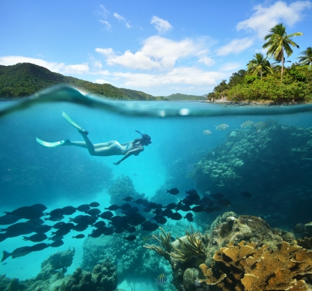 Beautiful Coral reef Caribian sea with lots of fish and a woman