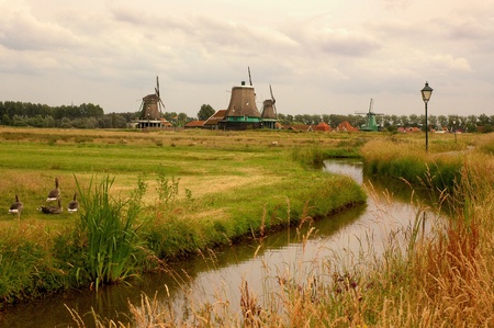 Beautiful classic Dutch rural landscape  Netherlands の写真素材