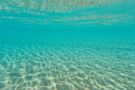 Beautiful underwater scene