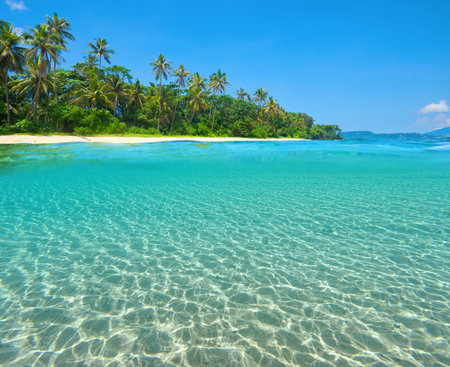 Tropical Island Beach with the half underwater view with sea bed. North Sulawesi, Indonesia.