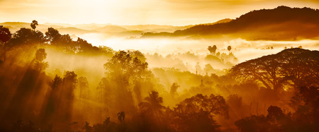 Beautiful Landscape of mountains and rainforest in early morning sun rays and fog near village Ngapali, Myanmar.の写真素材