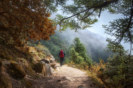 Young Happy Traveler Hiking with Backpack on the Beautiful Rocky Trail at Warm Sunny days in...
