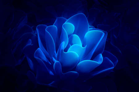 Beautiful magical glowing succulent flower on dark blue background. Futuristic nature design illustration.の写真素材
