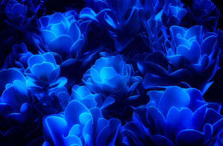 Beautiful magical glowing succulent flowers on dark blue background. Futuristic nature living organism design illustration.の写真素材