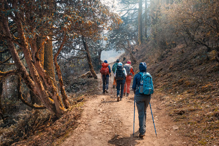 Group of hiking with backpacks walks along mountain path through beautiful forest during trek in Langtang National Park, Nepal. Beautiful forest trekking and activity in mountains.の写真素材