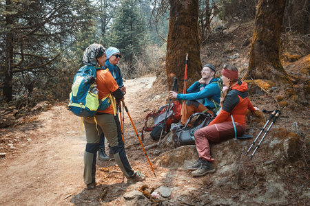 Group happy hiker friends with backpacks together resting talking in mountain forest. Trekking travel in adventure lifestyle, nature hiking in vacation holiday. Tourism, hiking, and friendship concept. Outdoor activities.の写真素材