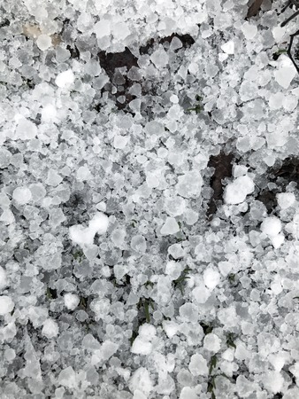 Late snow with hailstones on the groundの写真素材