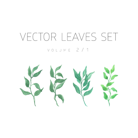Bright vector watercolor leaf isolated on white backgroundのイラスト素材