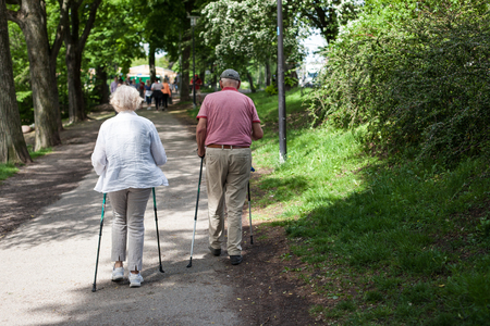 Powerful happy elderly people are walking with hiking sticks, canesの写真素材