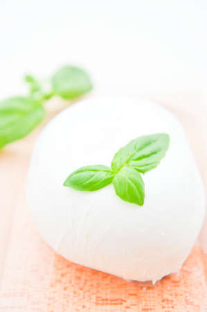Italian buffalo mozzarella cheese with basilの写真素材