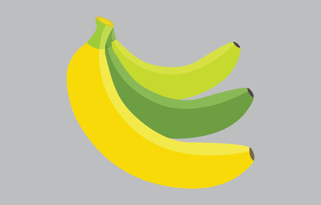 Banana vector art Illustration Isolated on white backgroundのイラスト素材